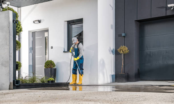 Best Rust Removal  in San Juan Bautista, CA